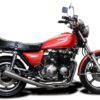 product5868_20b-1.jpg