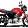 product8776_20b-1.jpg