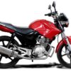product8779_20b-1.jpg