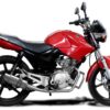 product8777_20b.jpg